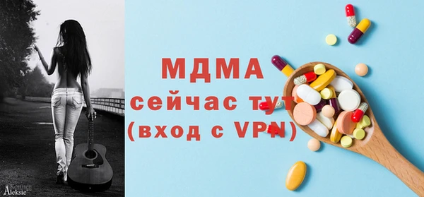 мдпв Елабуга