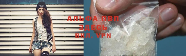 гашик Баксан