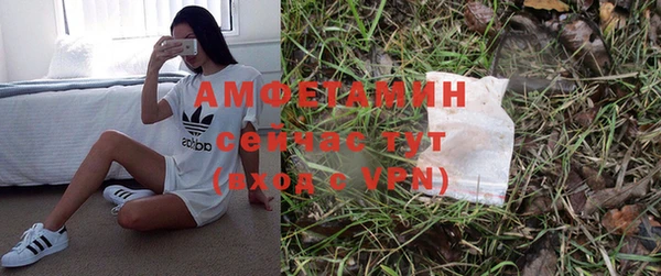 ПСИЛОЦИБИНОВЫЕ ГРИБЫ Балахна