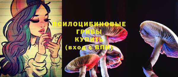 ПСИЛОЦИБИНОВЫЕ ГРИБЫ Балахна