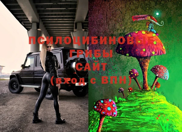метамфетамин Белокуриха