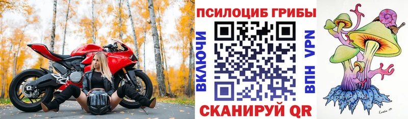 mega зеркало  Буйнакск  Псилоцибиновые грибы ЛСД  где найти  
