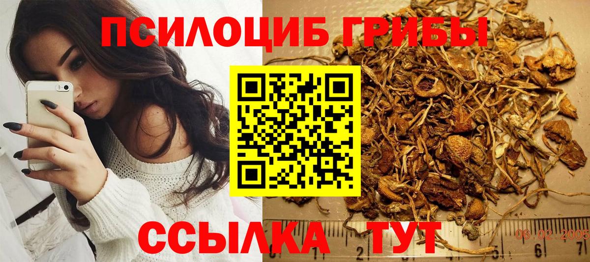 Псилоцибиновые грибы ЛСД Буйнакск